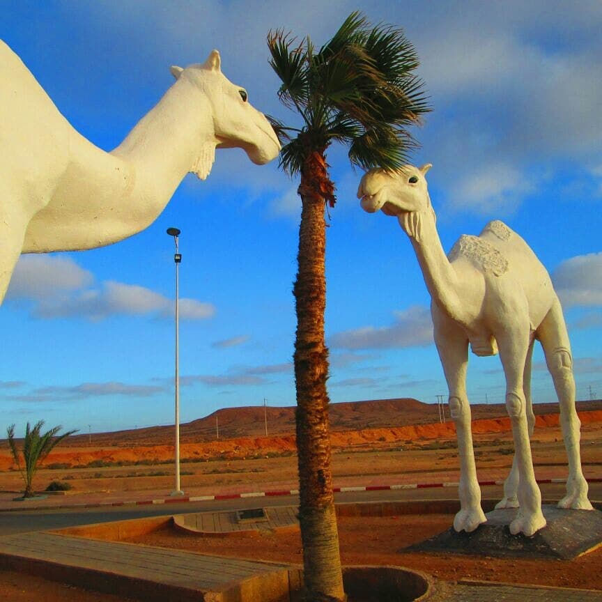 Camel statues at the entrance to the town of Tan-Tan, Morocco.