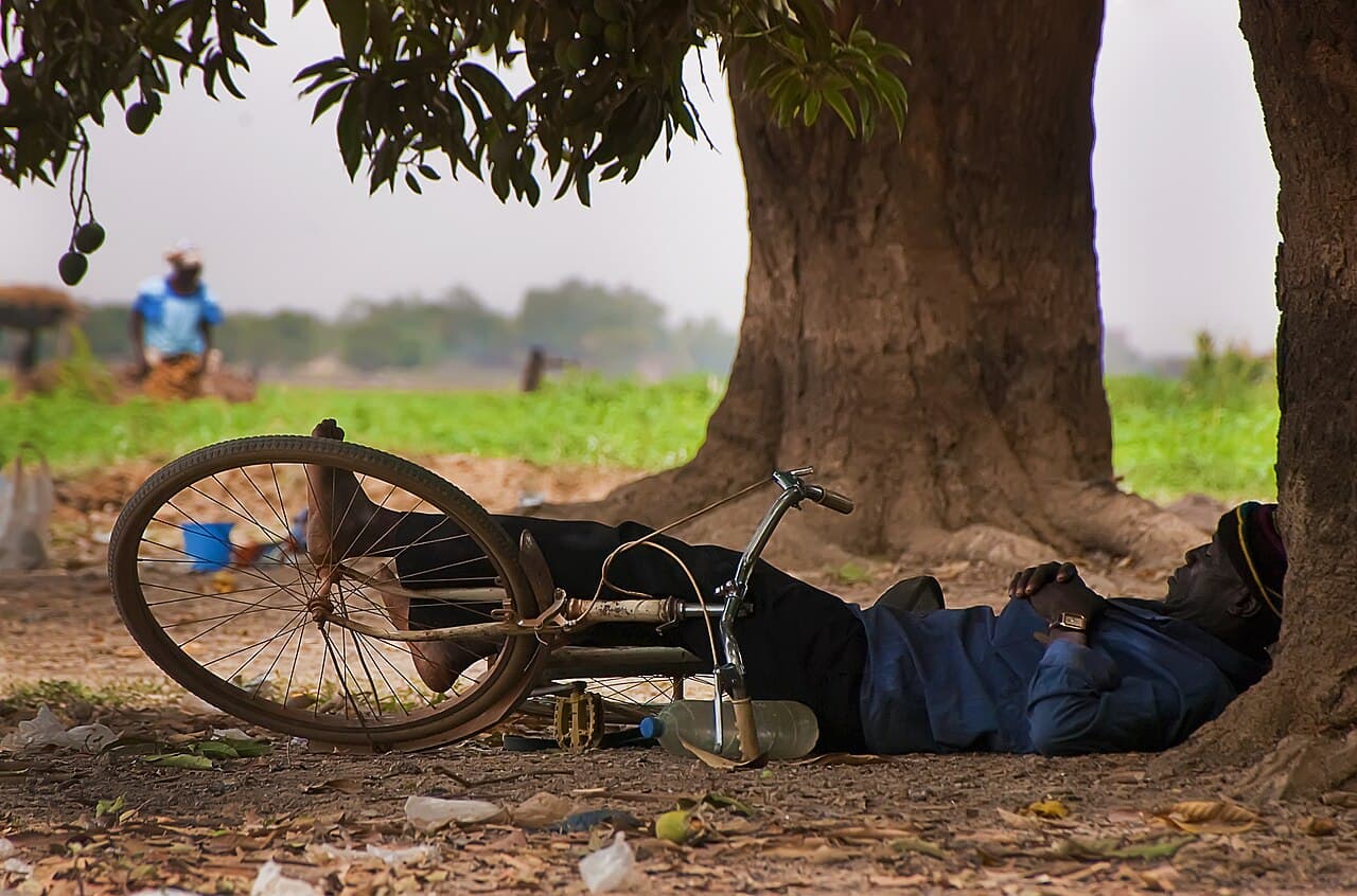 Shade and rest in Ouagadougou.